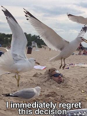 Summer work problems_ Missing the Beach